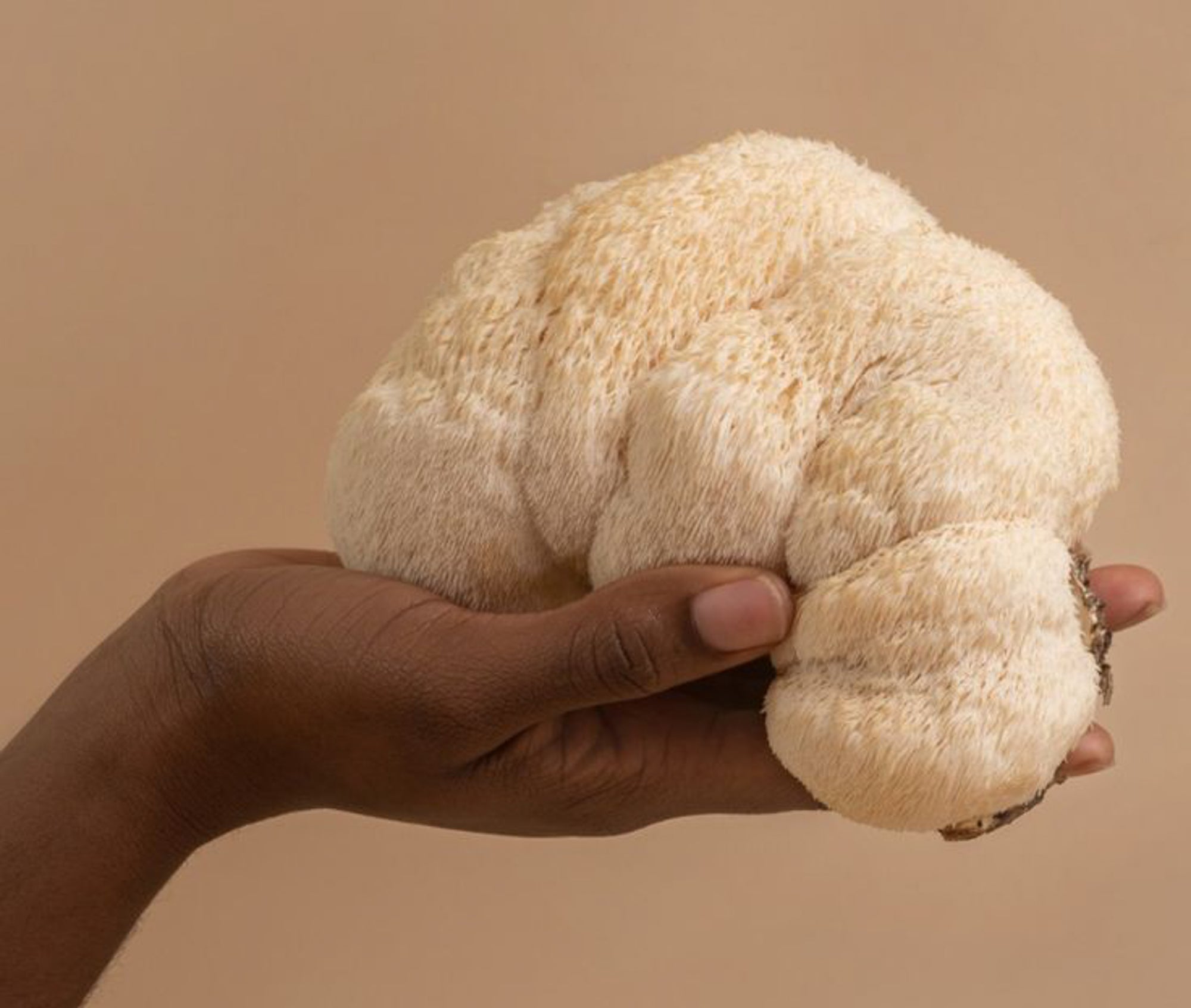 The Neuroprotective Benefits of Lion's Mane Mushroom